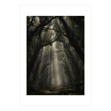 Enchanted Canopy: Mystical Forest Path (Print Only) thumbnail