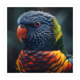 Rainbow Lorikeet Parrot Close Up Portrait (Print Only) thumbnail