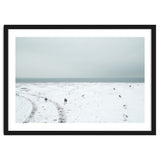 Seagulls in the winter snow beach thumbnail