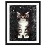 Bicolor Cute Kitten Portrait thumbnail