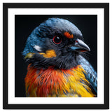 Close Up Of A Colorful Bird In The Wild thumbnail