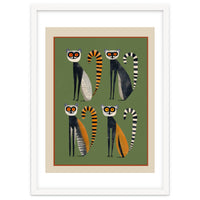 Striped Lemurs