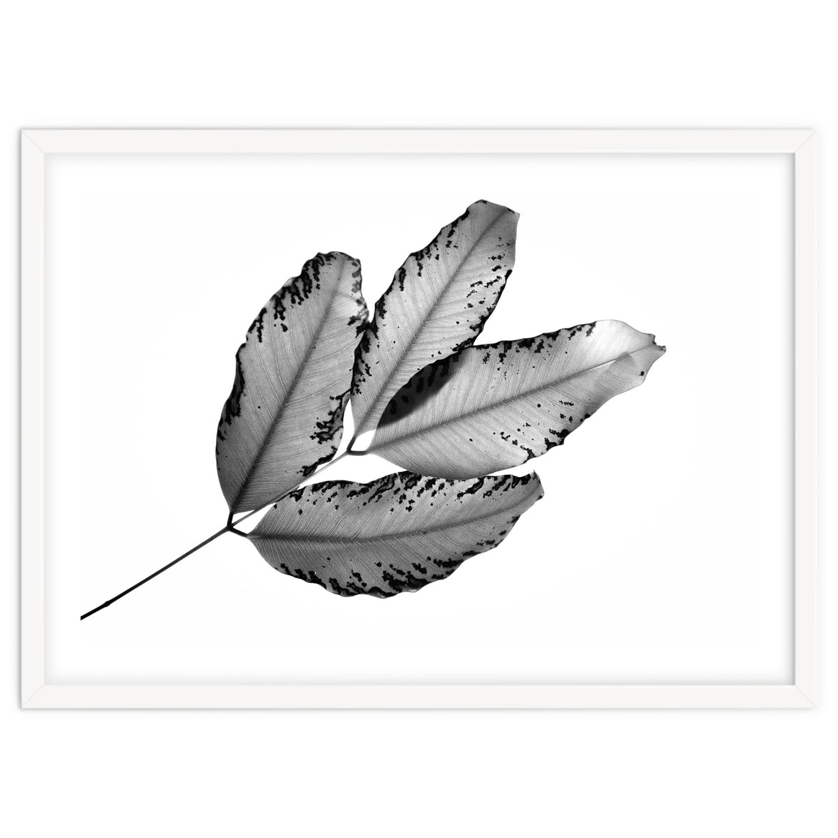 Branches and Leaves, 2016, 1