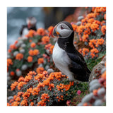 Atlantic Puffin Bird Perched On Orange Flowers (Print Only) thumbnail