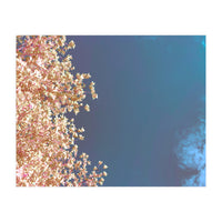 Leaves And Sky (Print Only)