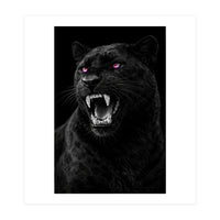 Black leopard with colorful eyes portrait (Print Only)