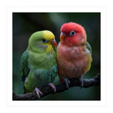 Two Lovebirds Sitting Together On A Branch (Print Only) thumbnail