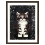 Bicolor Cute Kitten Portrait thumbnail