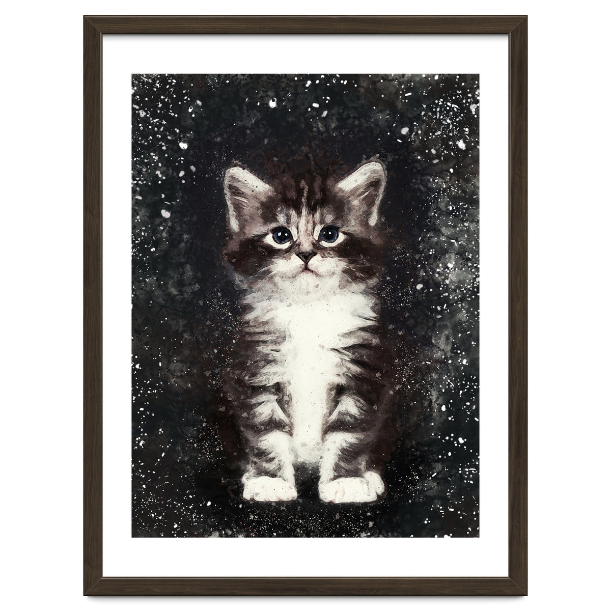 Bicolor Cute Kitten Portrait