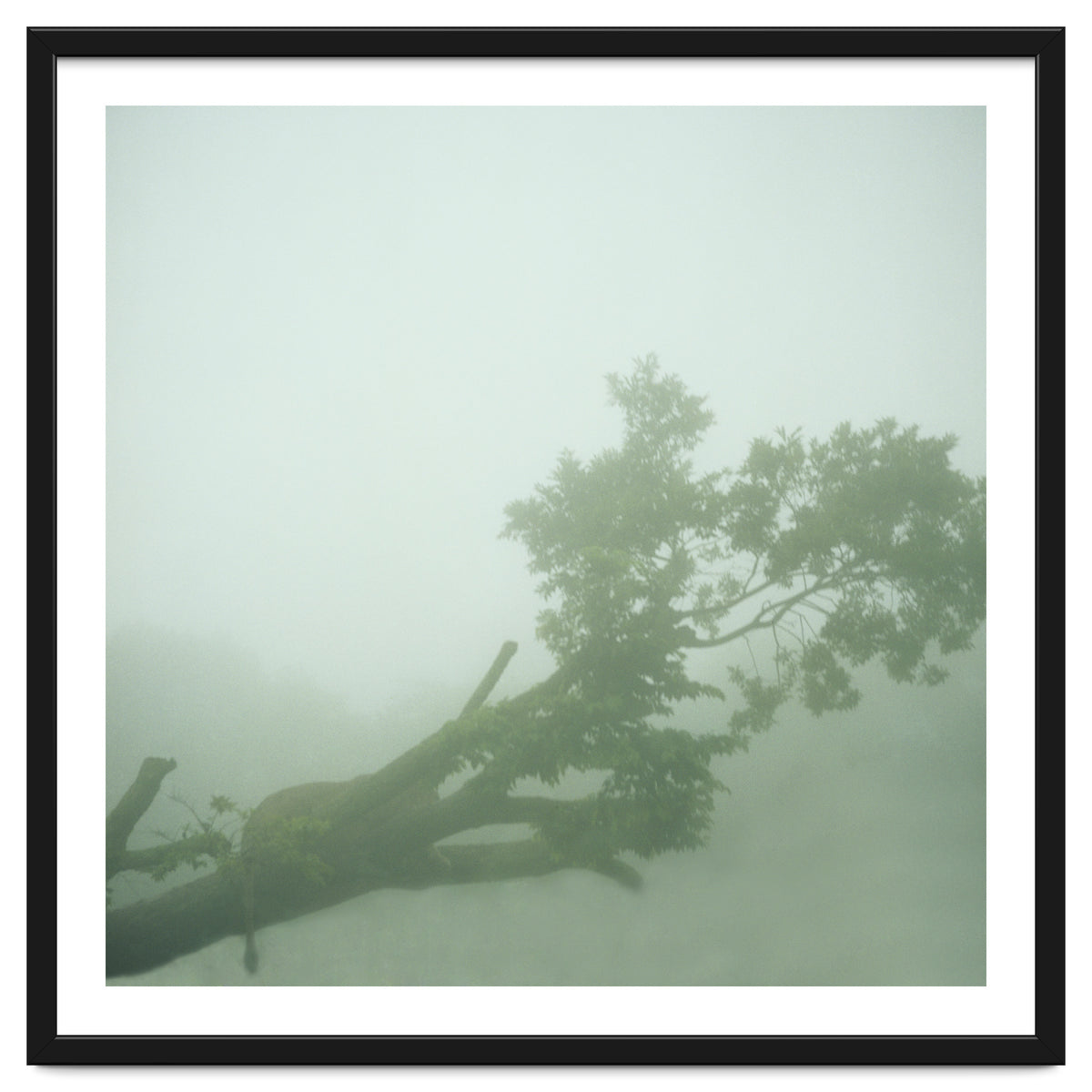 Silence of breath - 07