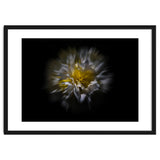 Backyard Flowers No 25 Color Flow Version thumbnail