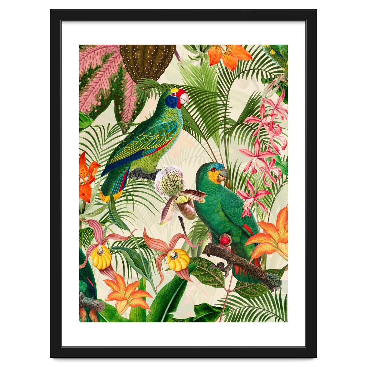 Parrots in tropical Jungle