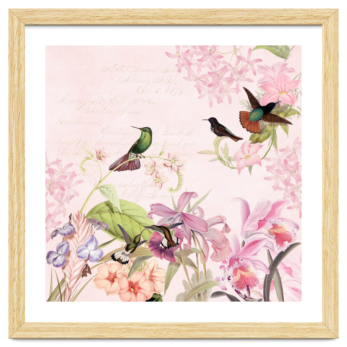 Hummingbirds in Flower Jungle