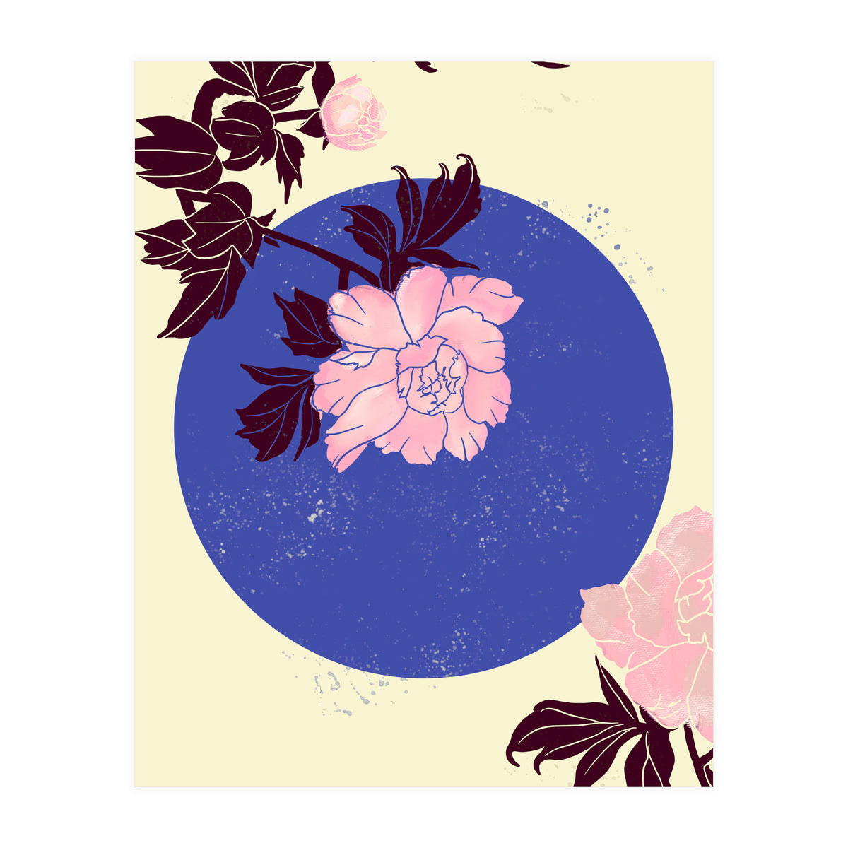 Peony (Print Only)