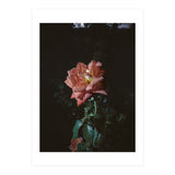Romantic (Print Only) thumbnail