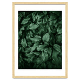 New Foliage Green Ii thumbnail