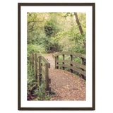 Path To The Bridge thumbnail