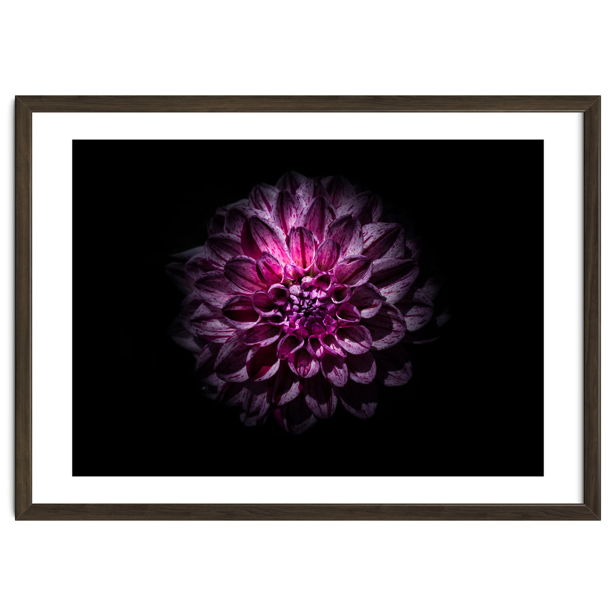 Backyard Flowers No 57 Color Version