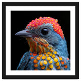 Close Up Of Colorful Bird With Water Droplets thumbnail