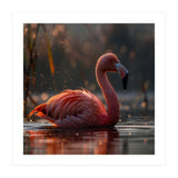 Pink Flamingo Swimming In Sunlight Water (Print Only) thumbnail