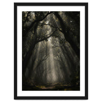 Enchanted Canopy: Mystical Forest Path