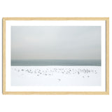 Seagulls in the winter snow beach thumbnail