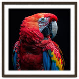 Scarlet Macaw Parrot Close Up Portrait thumbnail