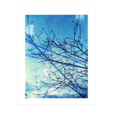 Winter (Print Only) thumbnail
