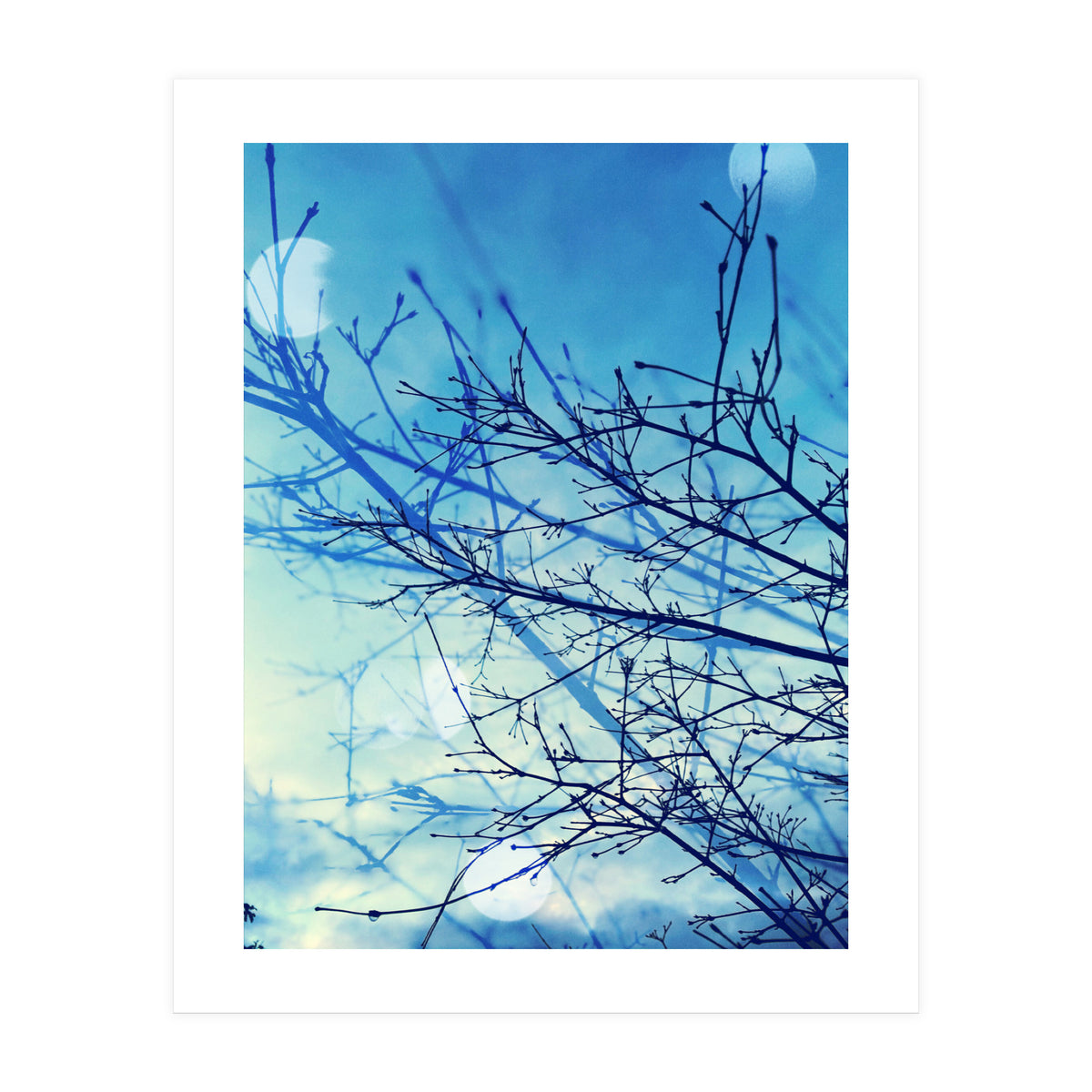 Winter (Print Only)