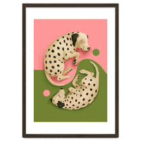 Yin And Yang Dalmatians
