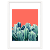 Cactus On Coral thumbnail