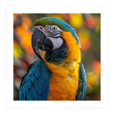Blue And Gold Macaw Parrot Close Up Portrait (Print Only) thumbnail