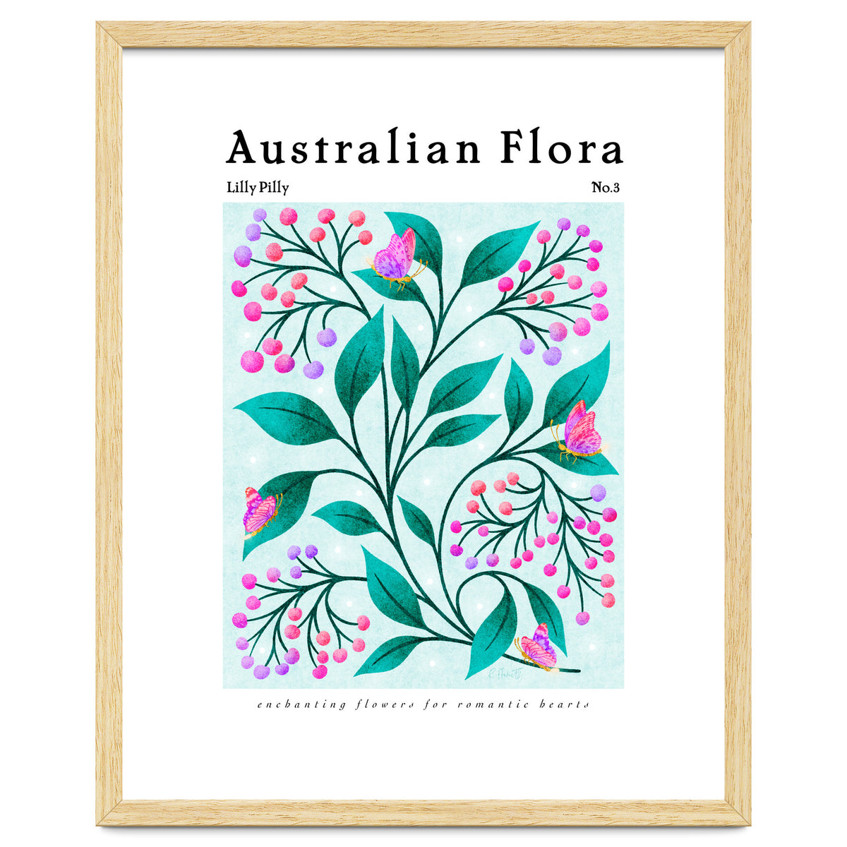 Australian Flora: Lilly Pilly