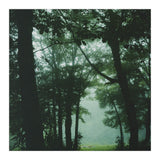 Silence of breath - 13 (Print Only) thumbnail