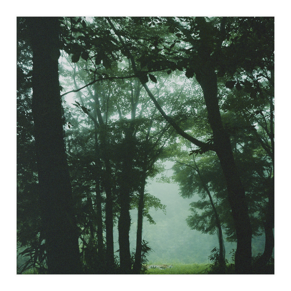 Silence of breath - 13 (Print Only)