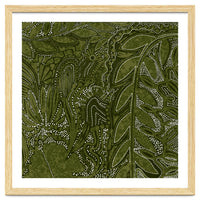 Forest Dense Foliage