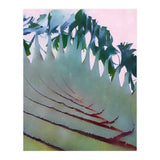 Palm Springs (Print Only) thumbnail