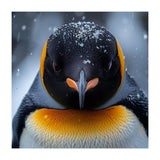 Close Up King Penguin In The Snow (Print Only) thumbnail