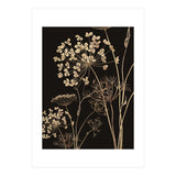 Wildflowers I (Print Only) thumbnail