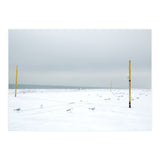 Seagulls in between the volleyball poles in winter snow beach (Print Only) thumbnail