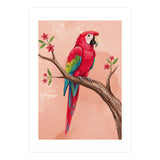 Red Macaw Parrot Bird Forest (Print Only) thumbnail