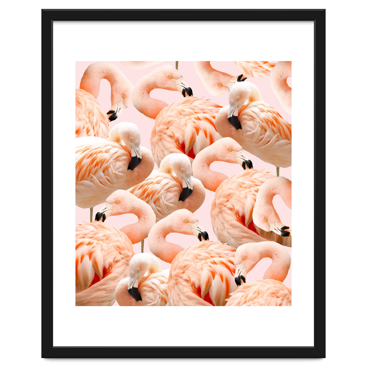 Flamingo Blush #society6 #decor #buyart #flamingoart