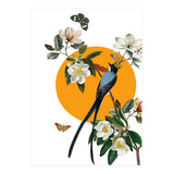 collage floral birds (Print Only) thumbnail