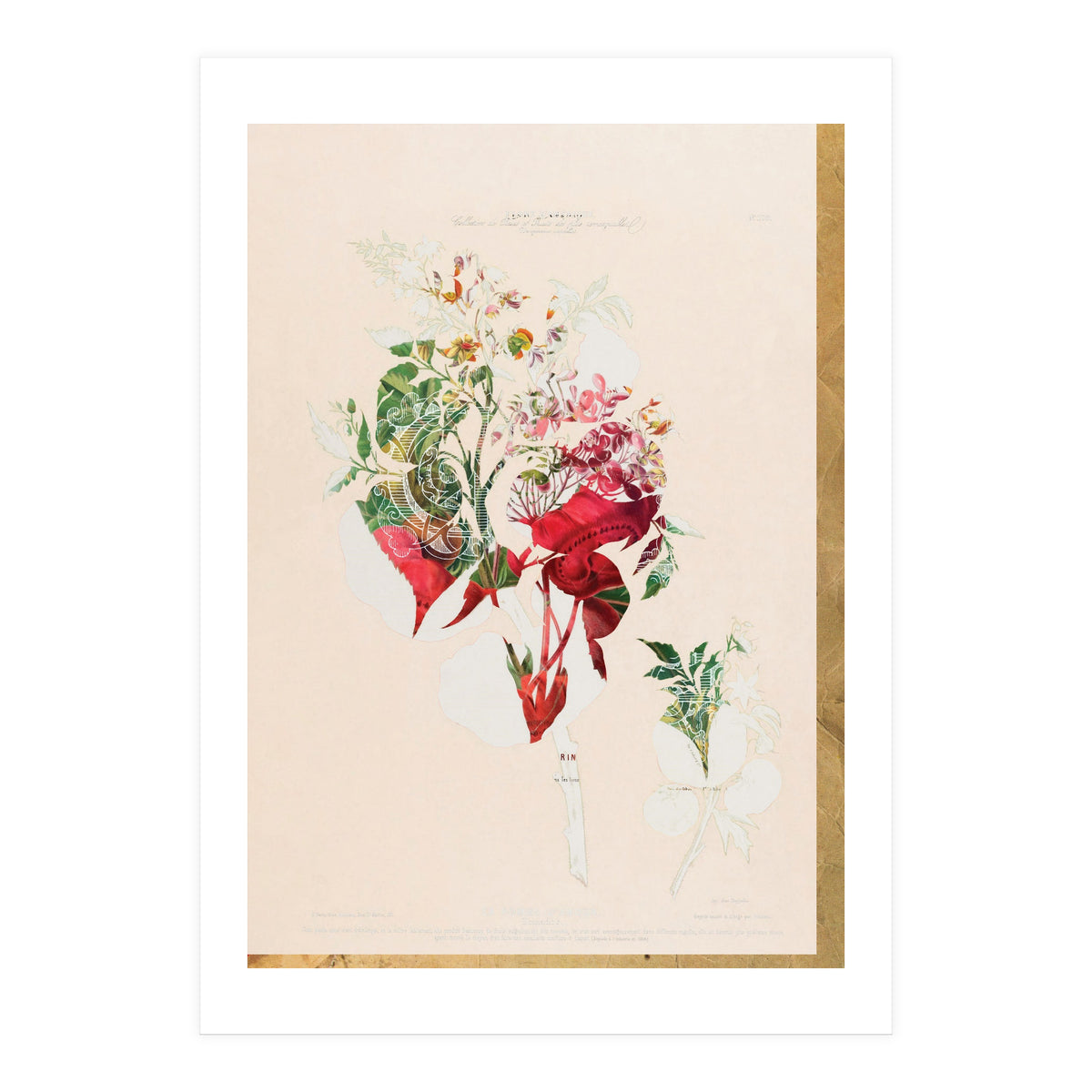 The First Plant · Aufbluehen (Print Only)