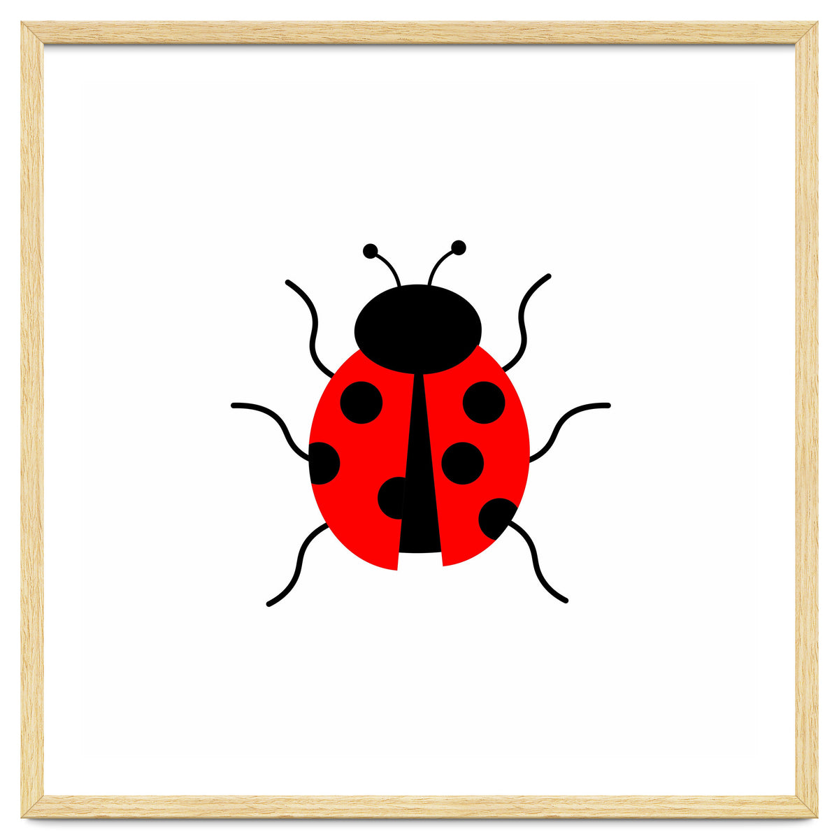 Lady Bug