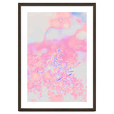 Chamomile thumbnail