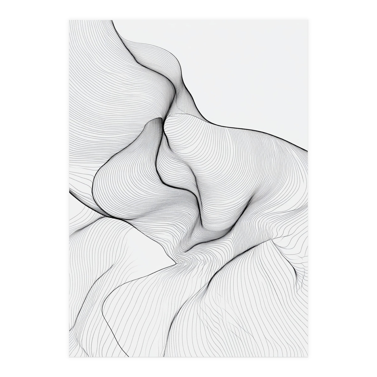 Abstract Black And White Flowing Lines Organic Form (Print Only)