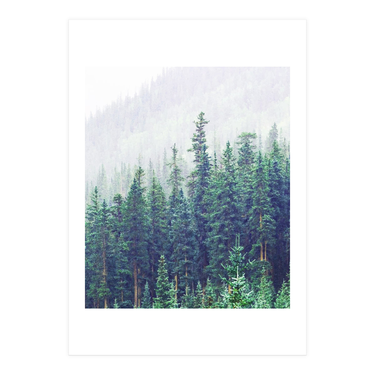 Concept & Energy (Print Only)