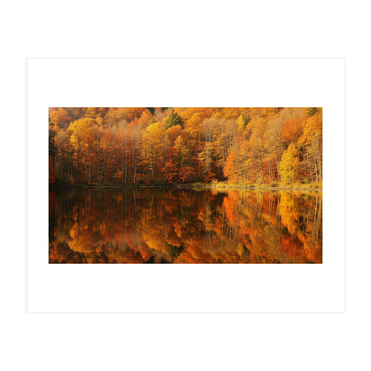 Autumn Reflections (Print Only)