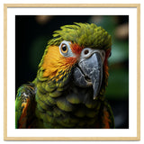 Close Up Of A Colorful Macaw Parrot Face thumbnail